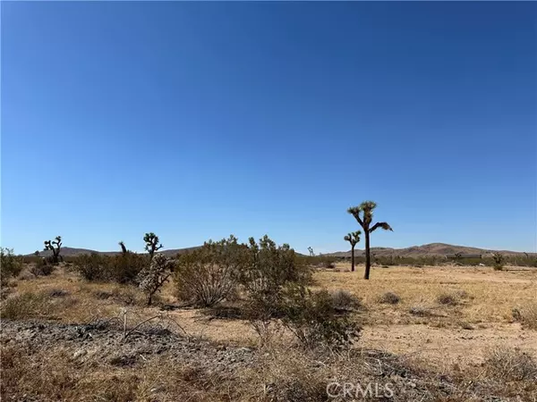 0 Aberdeen Drive, Joshua Tree, CA 92252