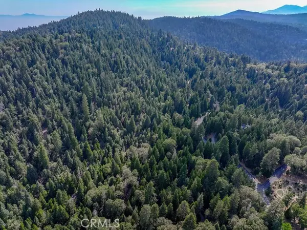 Lake Arrowhead, CA 92352,29207 Pigeon Hawk Lane