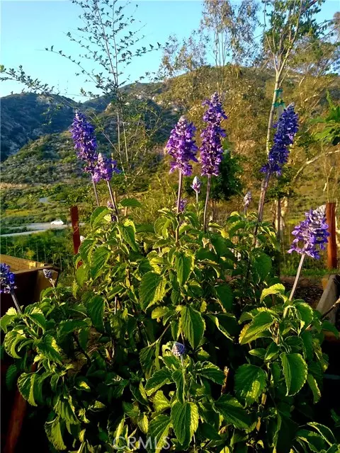 San Bernardino, CA 92407,6555 Devils Canyon Road