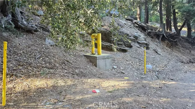 0 Cross Trail, Cedarpines Park, CA 92322