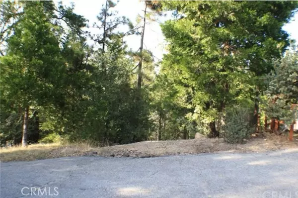 Lake Arrowhead, CA 92352,0 Grass Valley Road