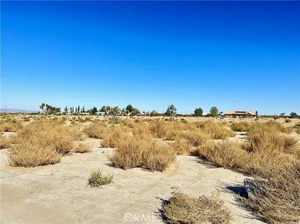 Pinon Hills, CA 92372,11975 Primavera Road