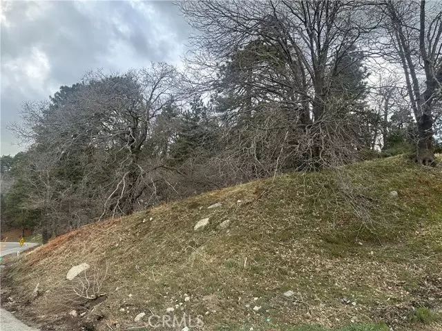 Cedar Glen, CA 92321,0 Torrey Road