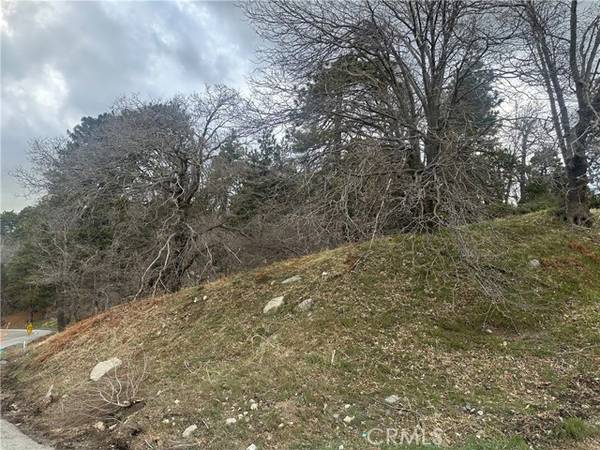 0 Torrey Road, Cedar Glen, CA 92321