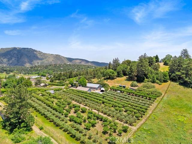 2645 Apple Lane, Julian, CA 92036