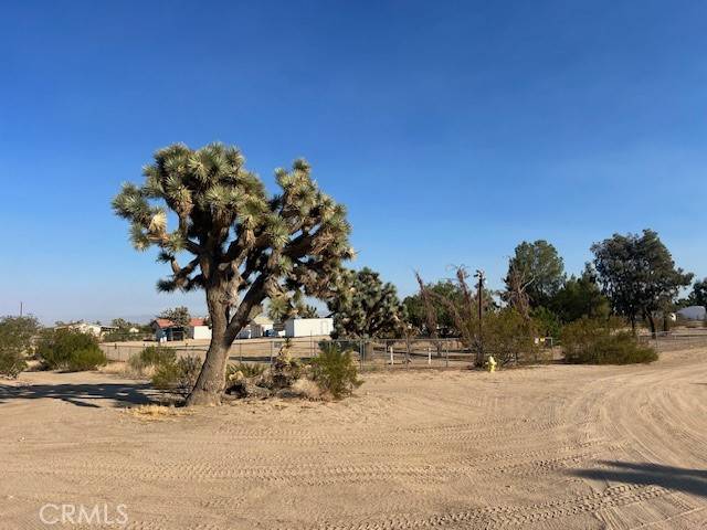 Phelan, CA 92371,5202 La Mesa Road