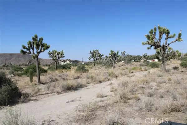 Pioneertown, CA 92668,0 Minna Gombell Ln.