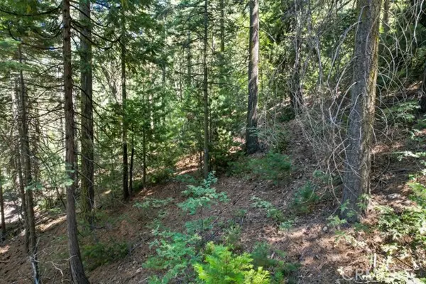 Blue Jay, CA 92317,0 Ca-189