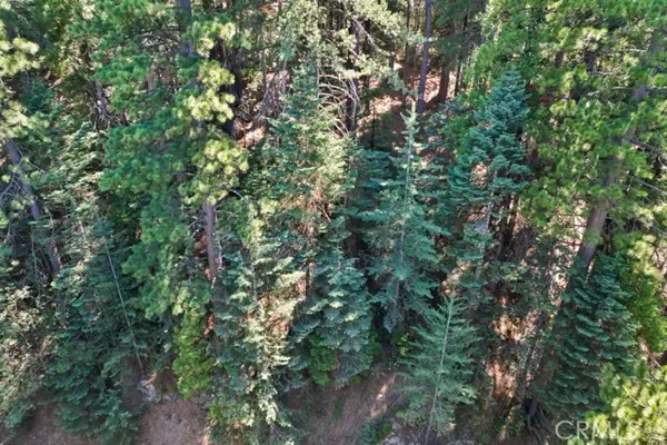 Blue Jay, CA 92317,0 Ca-189