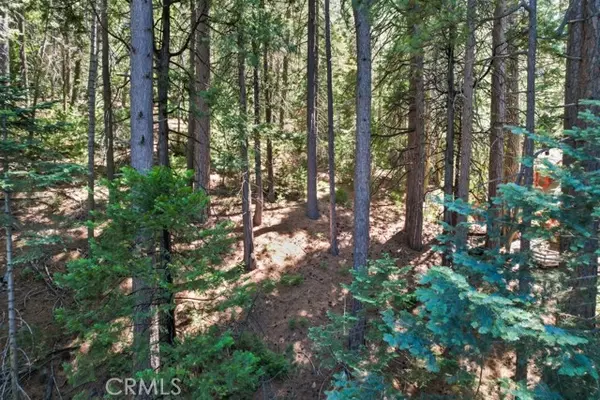 Blue Jay, CA 92317,0 Ca-189