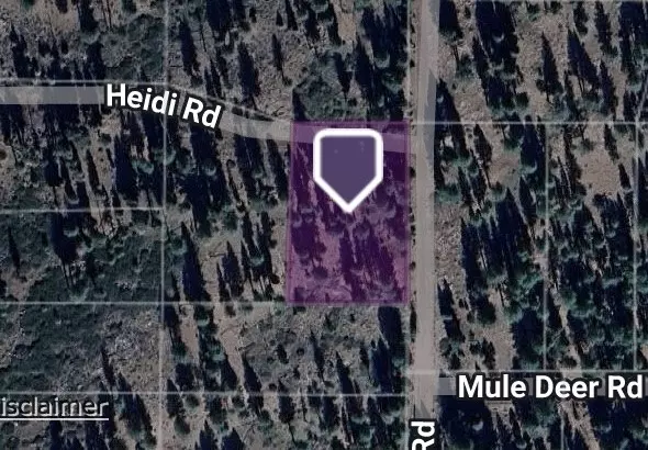 0 Lot 45 and 46 Block 37, Unit 5, Alturas, CA 96101