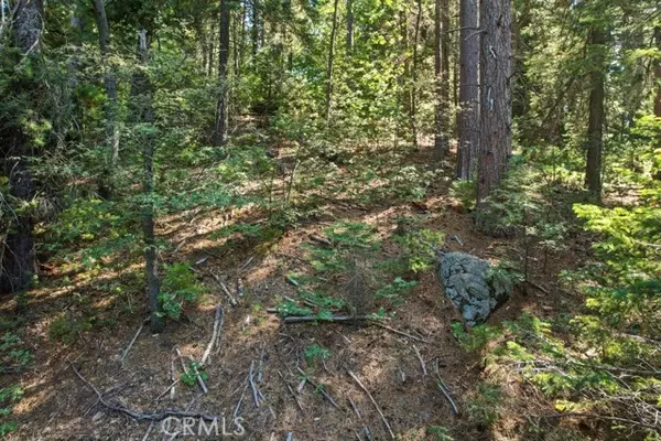 Blue Jay, CA 92317,1 Ca-189