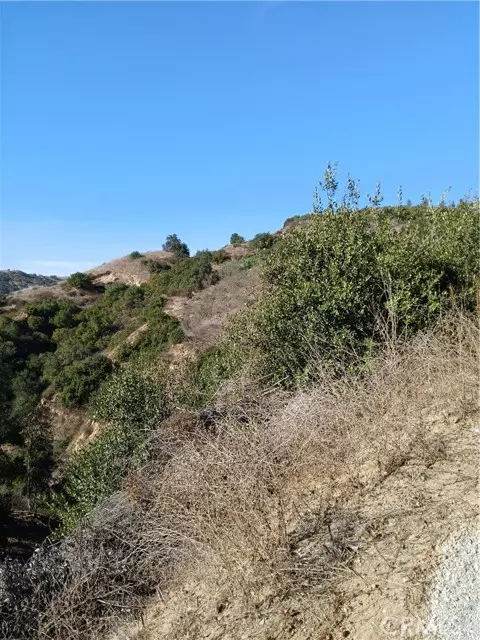 Chino Hills, CA 91709,16766 Sunset Way