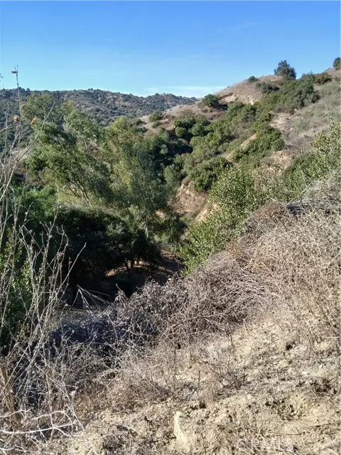 Chino Hills, CA 91709,16766 Sunset Way