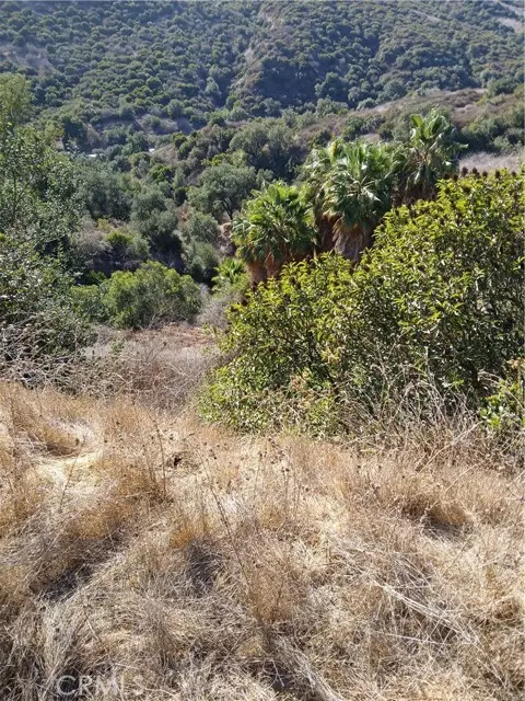 Chino Hills, CA 91709,16766 Sunset Way