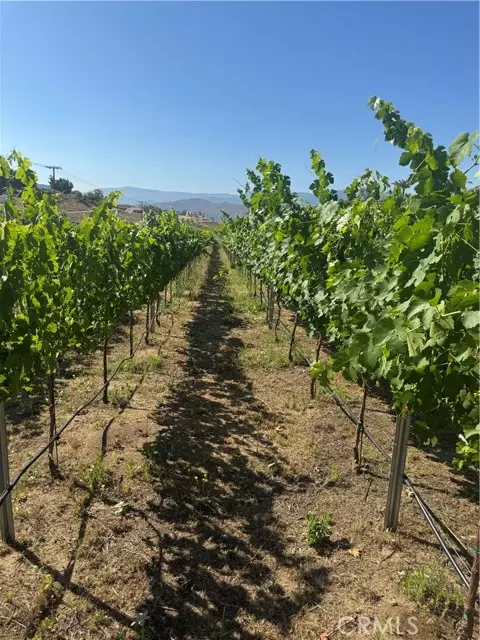 Temecula, CA 92592,36191 Summit Cr