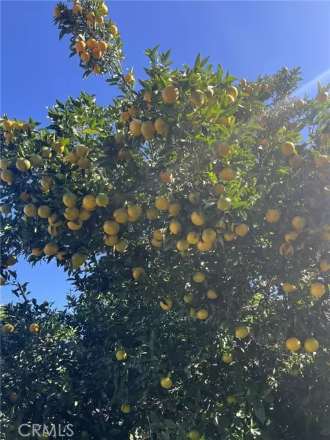 Duarte, CA 91010,1320 3 Ranch