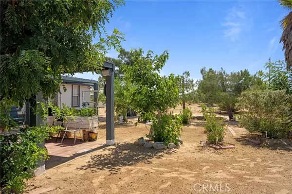 Phelan, CA 92371,11676 Acanthus Street