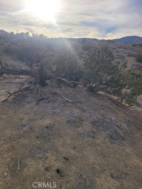 Palmdale, CA 93550,0 Vac/Ca Aqueduct/Pearblossom