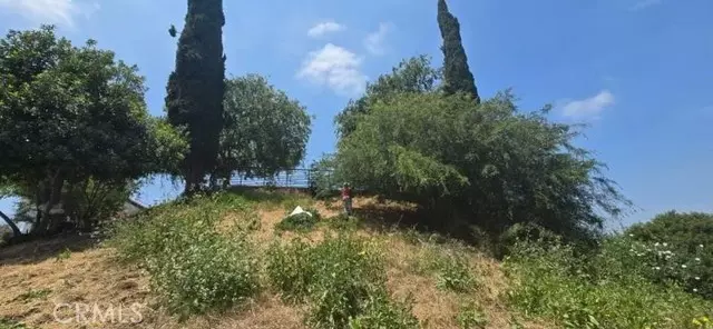 Los Angeles, CA 90065,4322 Scandia Way