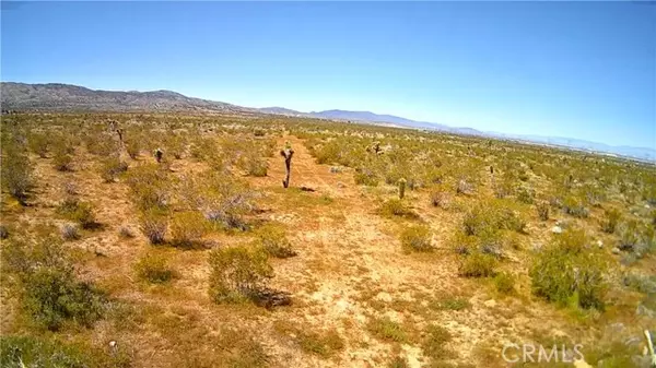 Pearblossom, CA 93543,106 Street E