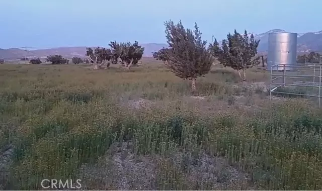 Juniper, CA 93543,0 Vac/Longview Rd/Vic Murphys Road