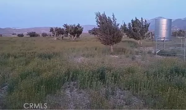 0 Vac/Longview Rd/Vic Murphys Road, Juniper, CA 93543