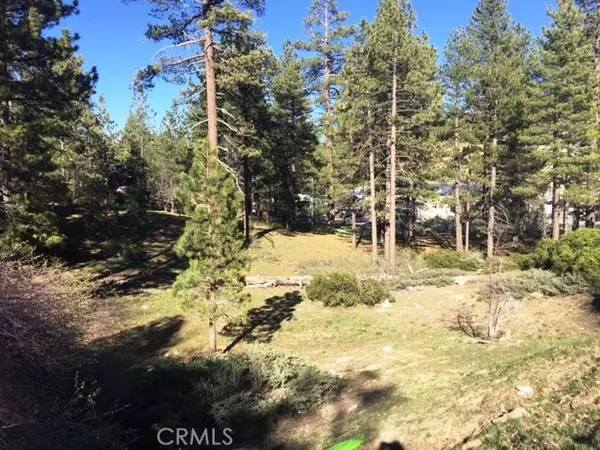 Big Bear City, CA 92315,0 Talmadge