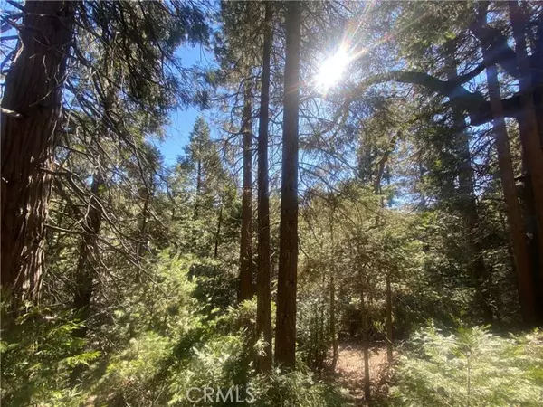 0 N Bay Road, Lake Arrowhead, CA 92352