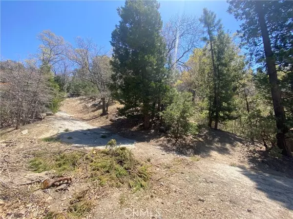 0 Lovers lane, Lake Arrowhead, CA 92352