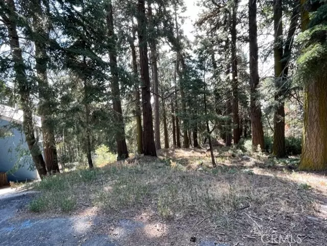 Cedarpines Park, CA 92322,0 Lakeland View