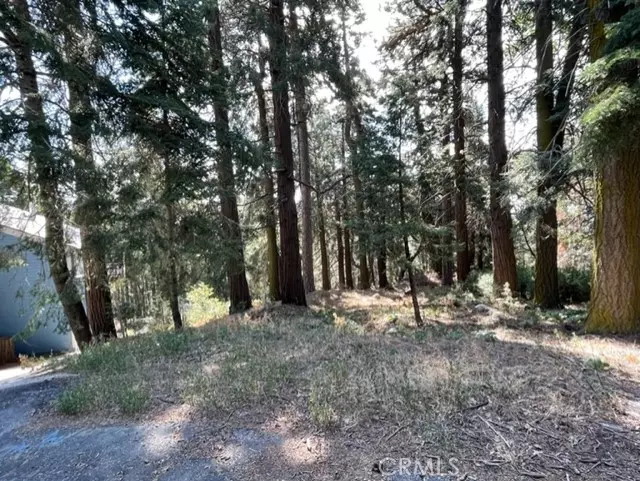 Cedarpines Park, CA 92322,0 Lakeland View