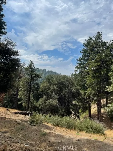 0 Cochran Rd, Cedarpines Park, CA 92391