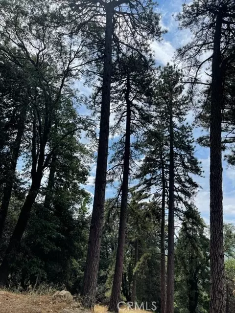 Cedarpines Park, CA 92391,0 Cochran Rd