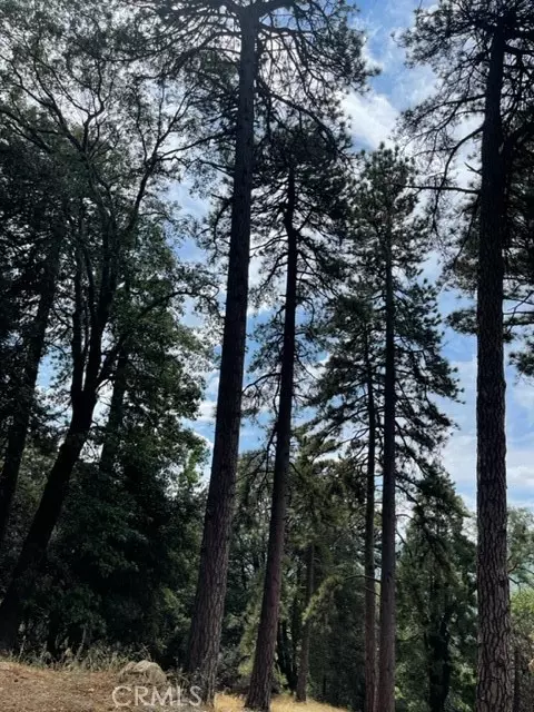 Cedarpines Park, CA 92391,0 Cochran Rd