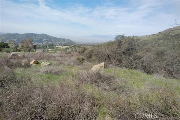 Yucaipa, CA 92399,0 Ivy