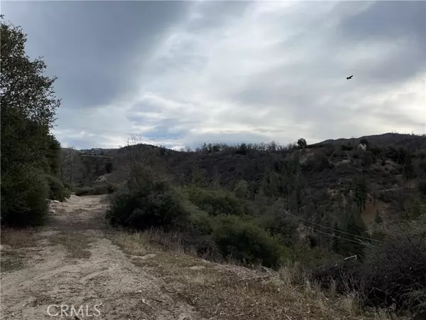 29608 Torrey Road, Cedar Glen, CA 92321