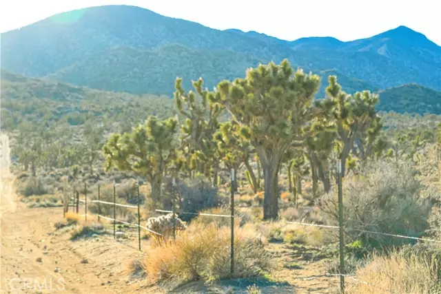 Pioneertown, CA 92268,0 Viscera Springs Road