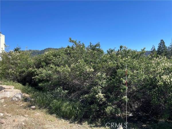 17 Lot 17 Lupin Way, Cedar Glen, CA 92321