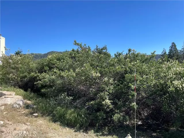 17 Lot 17 Lupin Way, Cedar Glen, CA 92321