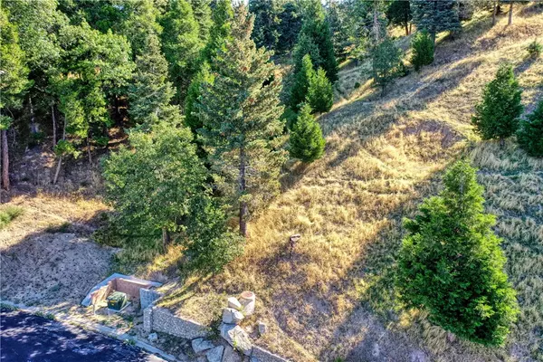 Lake Arrowhead, CA 92352,263 Hidden Forest Road