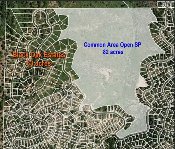 Lake Arrowhead, CA 92352,0 Black Oaks Drive