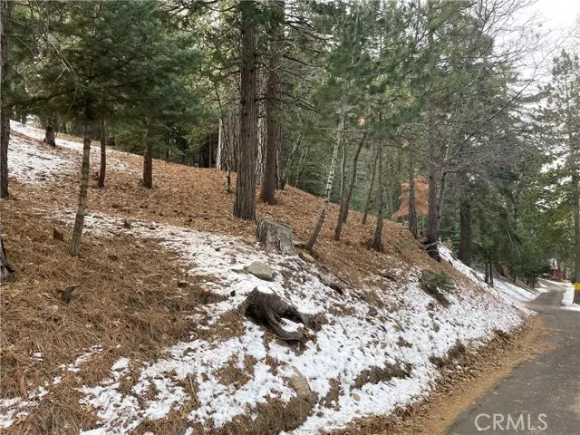 Twin Peaks, CA 92391,17 Lots 17-19 Mid Lane