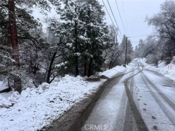 Big Bear City, CA 92314,1224 Minton Drive