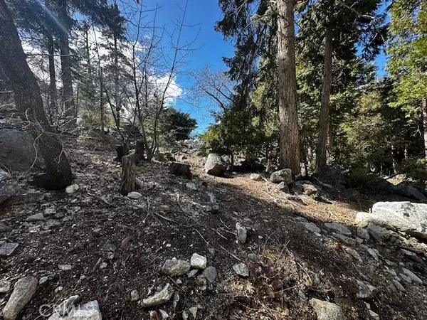 Forest Falls, CA 92339,0 Fir Drive