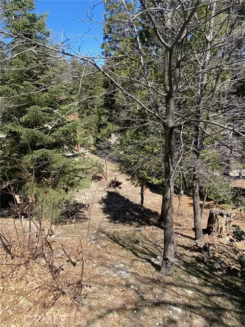 0 Circle, Lake Arrowhead, CA 92323