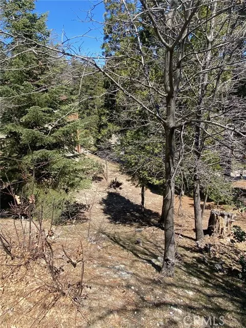 0 Circle, Lake Arrowhead, CA 92323