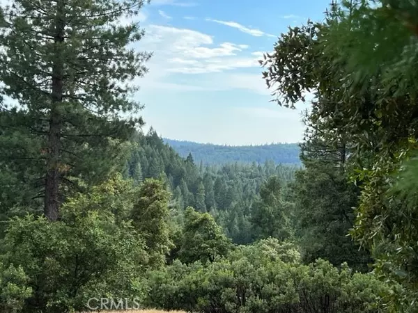 Grass Valley, CA 95945,12444 Manion Canyon Road