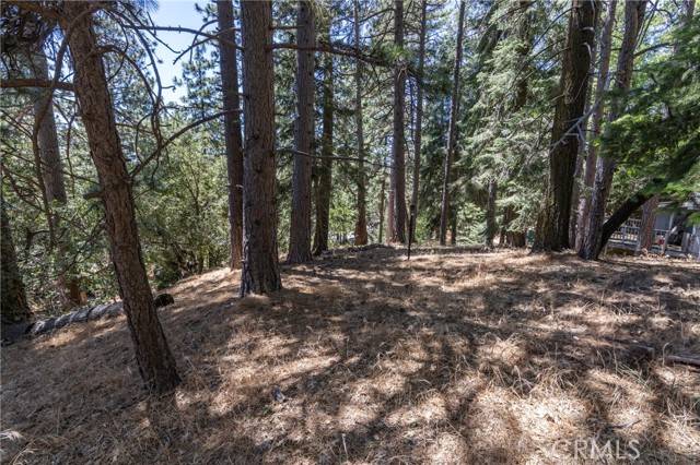 Running Springs, CA 92382,0 Ferndale