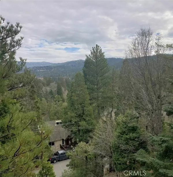 Lake Arrowhead, CA 92352,298 Birchwood Drive